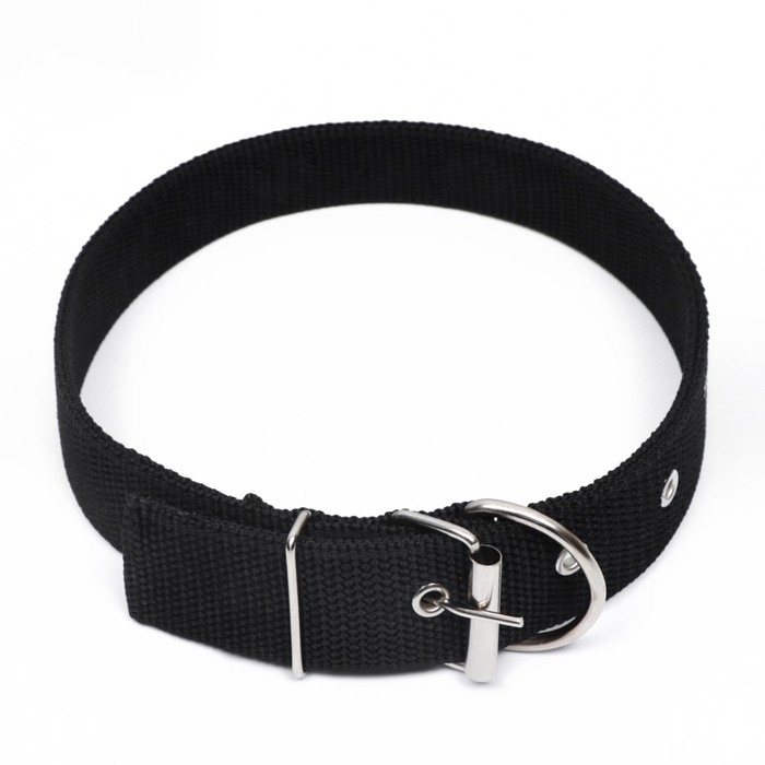 Ошейник клепаный, 48,5 х 3 см, ОШ 31-40 см, полиэстер, чёрный