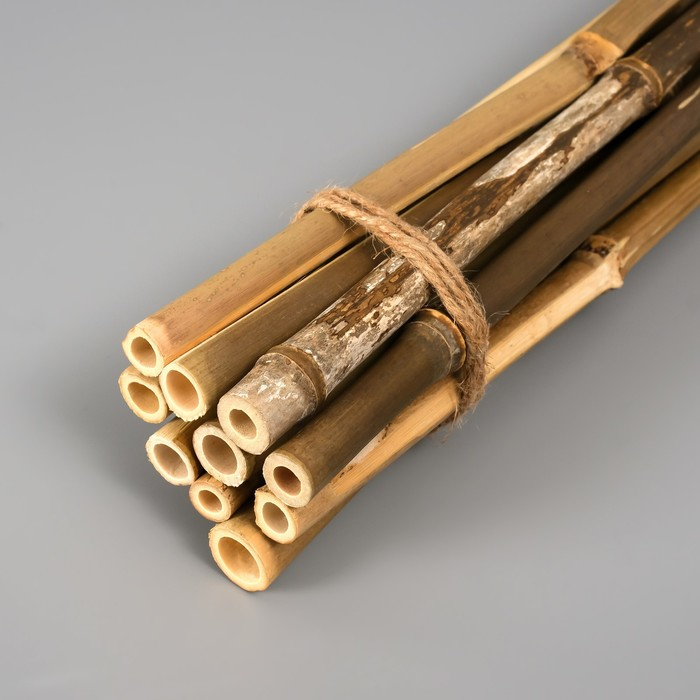 Декоративный бамбук 40 см, 10 шт