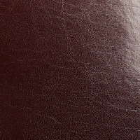 Ежедневник датированный 2025, A5 168 листов, deVENTE. Saltos, мягкая обложка кожзам, перфорация, ляссе, блок 70, коричневый