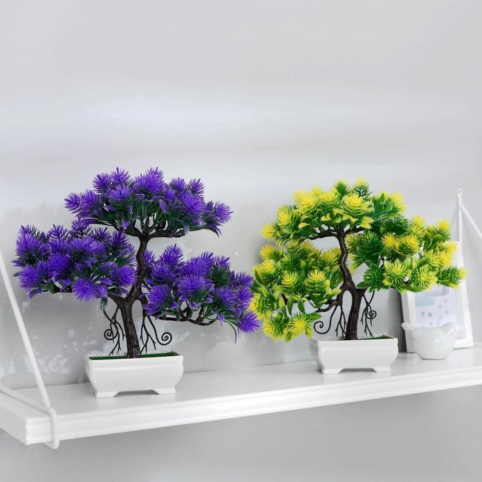 Бонсай в горшке "Мелкие пушистики" 26х24 см, микс