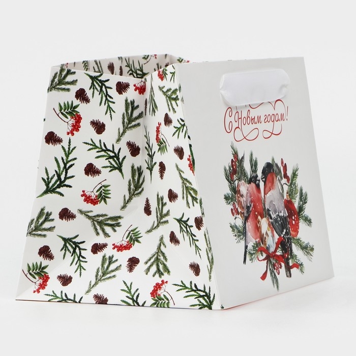 Пакет подарочный новогодний с широким дном &laquo;С Новым годом&raquo;, 20&times;14&times;13 см