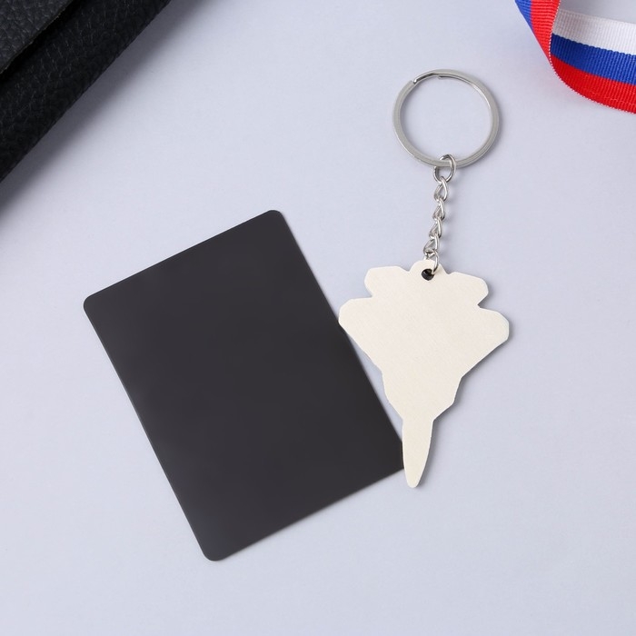 Магнит и брелок на 23 Февраля &laquo;Самолёт&raquo;, подарочный набор : 2 предмета