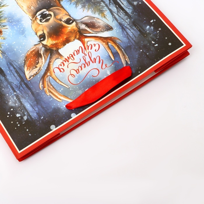 Новый год. Пакет подарочный новогодний бумажный, Новый год. Пакет подарочный новогодний бумажный, "Чудеса случаются", 24 х 20 х 11 см.