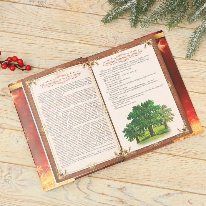 Новогодний, подарочный набор: Родословная книга и чайный домик &laquo;Новый год: Зимняя сказка только для тебя&raquo;, 28 х 11 х 24 см., набор