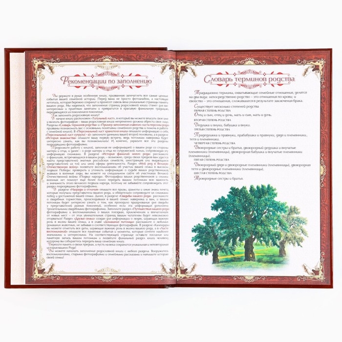 Подарочный набор родословная книга в шкатулке &laquo;Новый год: Дед мороз&raquo;