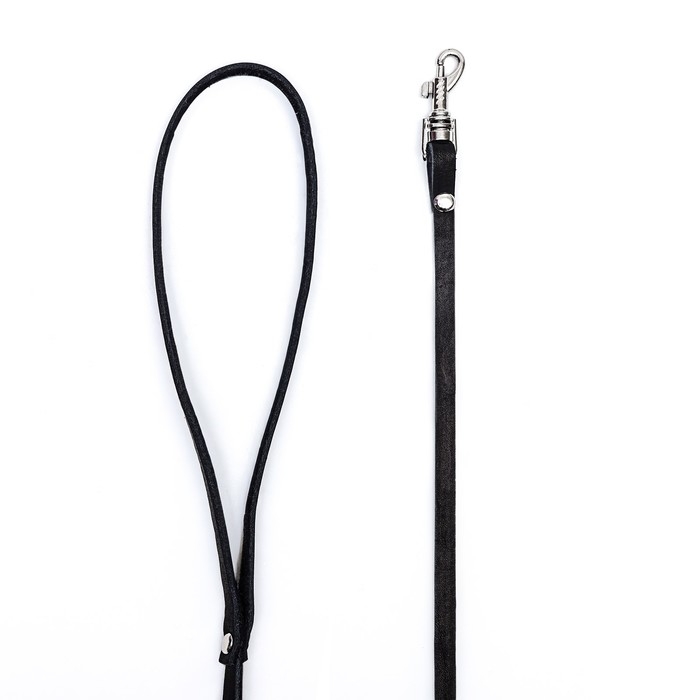 Поводок кожаный однослойный, 1.47 м х 0,8 см, черный Поводок кожаный однослойный, 1.47 м х 0,8 см, черный