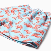 Купальные трусы мужские KAFTAN "Крокодил", размер 50