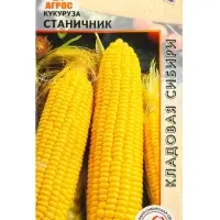 Семена Кукуруза "Станичник" 2 г