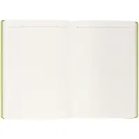 Ежедневник Flexpen Black, недатированный, черный с зеленым