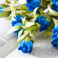 Букет "Садовая гуттата" 28 см, микс