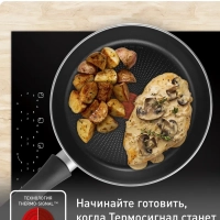 Набор сковород Daily Expert 22 24 см, Франция