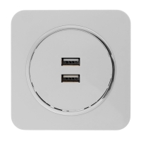 Розетка с 2 USB-A разъёмами, 2.1А, 5В, серия "Circular", 10 А, скрытая, серебристая рамка