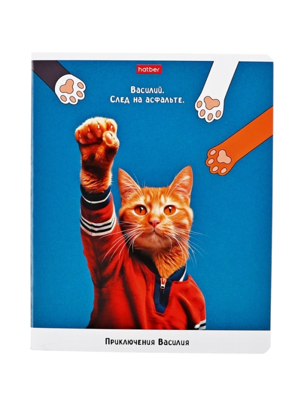 Тетрадь 48л кл на скобе "Приключения Василия", скругл углы, обл мел бум, 45 МИКС