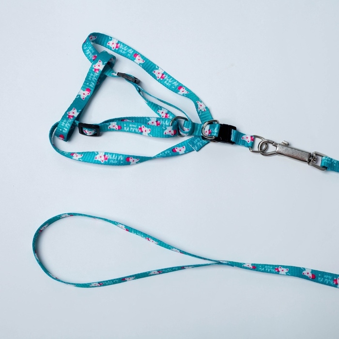 Комплект &laquo;Хочу на ручки&raquo;, шлейка 24-34х1 см, поводок 120 см