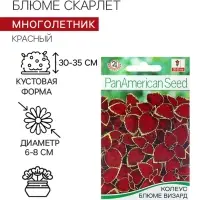 Семена Колеус блюме Скарлет   Мн Сел. PanAmerican Золотая серия Ц/П 5 шт