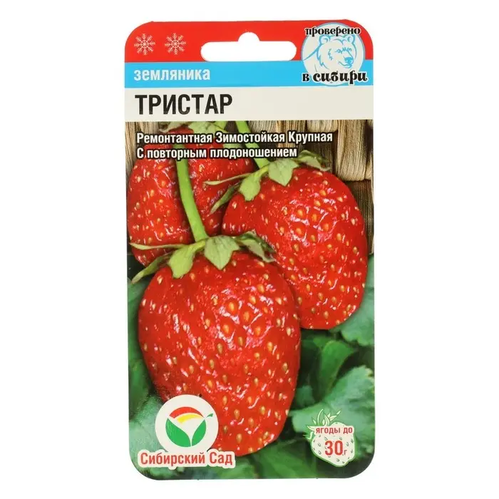 Семена Земляника ремонтантная &laquo;Тристар&raquo;, 10 шт., &laquo;Сибирский сад&raquo;