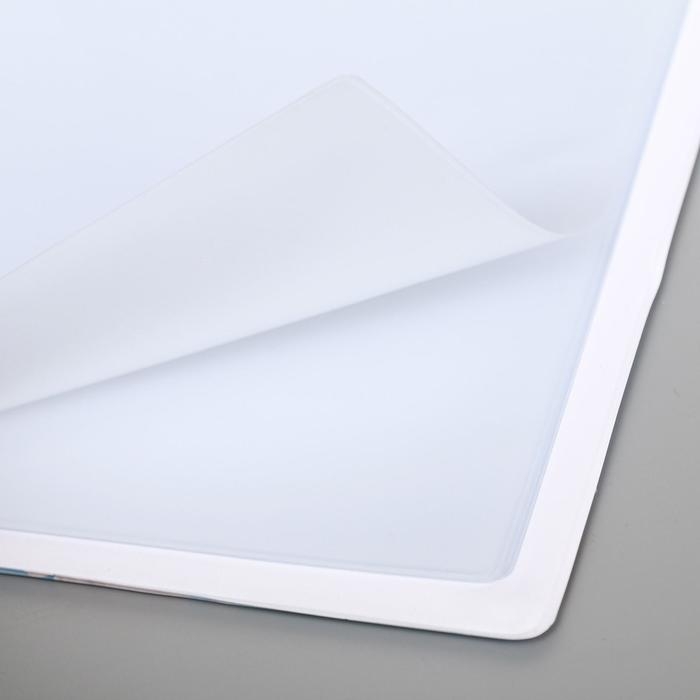 Папка для документов «Docs», 8 файлов А4 Папка для документов «Docs», 8 файлов А4