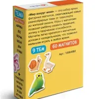 Развивающая игра на магнитах &laquo;Мир вокруг меня&raquo;