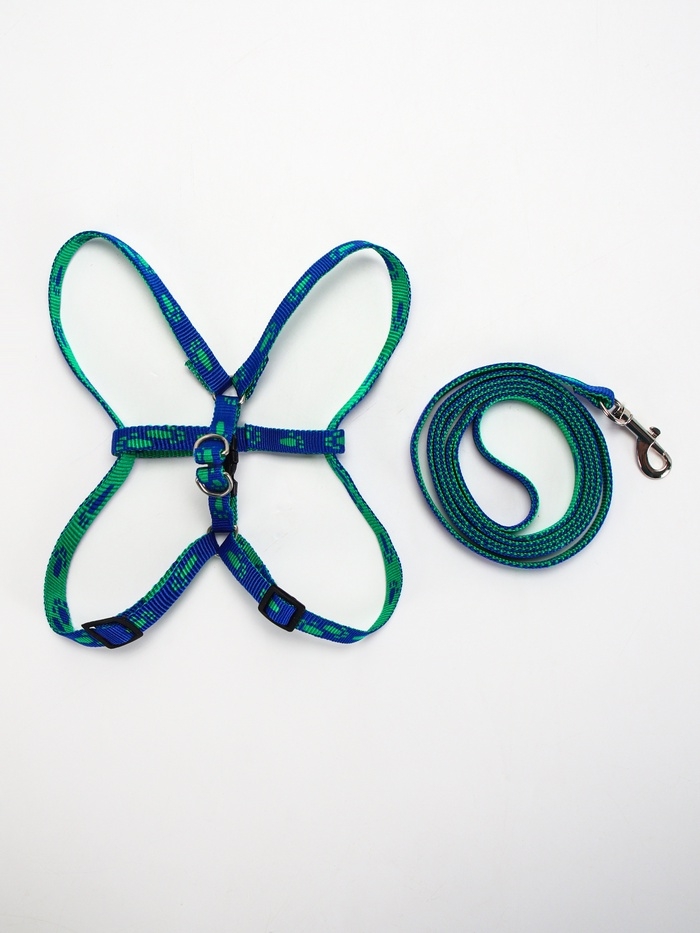 Комплект  "Большая лапа", ширина 1 см, поводок  120 см, шлейка 25-36 см, сине-зелёный
