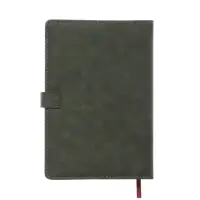 Ежедневник недатированный формат А5, с хлястиком, 112л, линия, пвх, Зеленый