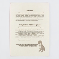 Настольные игры 2 в 1 "Диношашки": шашки, хищники и травоядные, d-2.2 см, 31.2 х 31.2 см