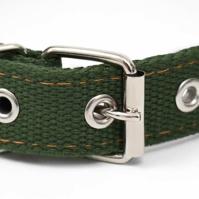 Ошейник брезентовый двухслойный, 59,5 х 2,5 см, хаки