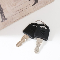 Сейф-книга дерево кожзам "Фонарный столб" 21х13х5 см