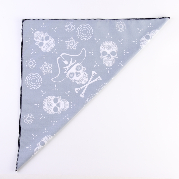 Бандана &laquo;Пират&raquo;, взрослая, 50х50 см