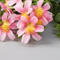 Букет "Сальпиглоссис" 32 см, микс Букет "Сальпиглоссис" 32 см, микс