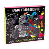 Головоломка металлическая &laquo;Мозг человека&raquo;, набор 5 шт.