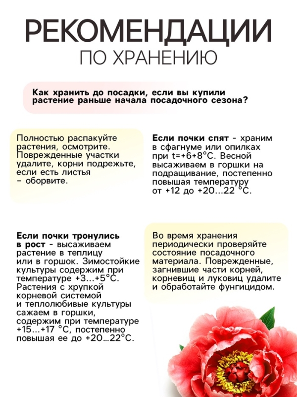 Пион Coral Charm, корневище в пакете с торфогрунтом, р-р 3/5, 1 шт.