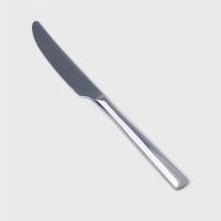 Нож столовый Hanna Kn&ouml;vell Skagem, 23.9 см, толщина 5 мм, нержавеющая сталь, серебристая