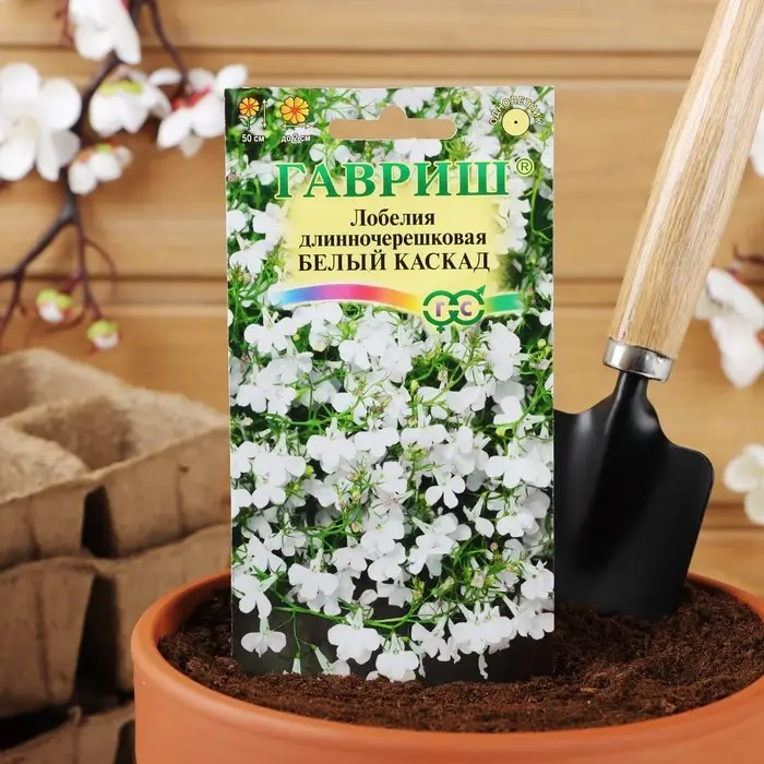 Семена цветов Лобелия ампельная "Белый каскад", ц/п,  0,01 г