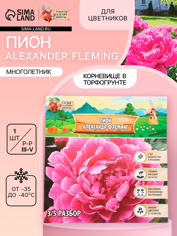 Пион Alexander Fleming, корневище в пакете с торфогрунтом, р-р 3/5, 1 шт.