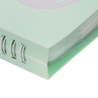 Нотная папка - 30 файлов 60 листов зеленая