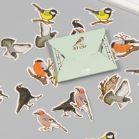 Наклейки для творчества "Городские и лесные птицы" тиснение золото набор 48 шт 9х7х0,8 см Наклейки для творчества "Городские и лесные птицы" тиснение золото набор 48 шт 9х7х0,8 см