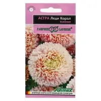 Набор семян Астра "Леди Корал бежевая",  однолетняя, серия Эксклюзив, 5 шт.