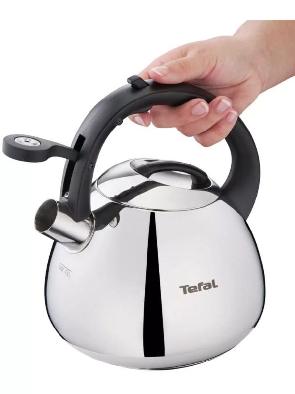 Чайник для плиты Duetto+ N4180110, 2.7 л, стальной