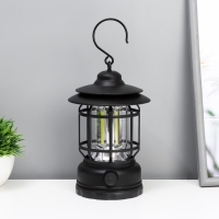 Ночник "Фонарь" LED 5Вт USB АКБ диммер черный 11,5х11,5х16,5 см RISALUX Ночник "Фонарь" LED 5Вт USB АКБ диммер черный 11,5х11,5х16,5 см RISALUX