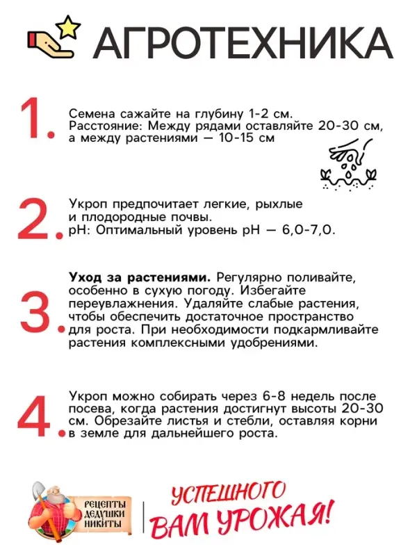 Семена Укроп «Супердукат ОЕ», 2 г Семена Укроп «Супердукат ОЕ», 2 г