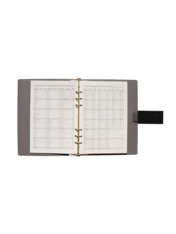 Органайзер на кольцах, А5, с хлястиком, 80л, линия, к/зам, Черный