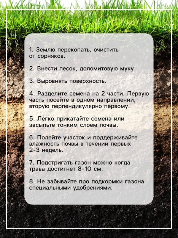 Семена газонной травы Hello grass, Universell Gras, 1 кг