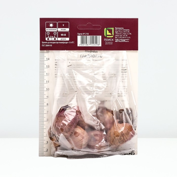 Гладиолус крупноцветковый &laquo;Фиделио&raquo;,луковица цветов в пакете, р-р 10/12, 10 шт.