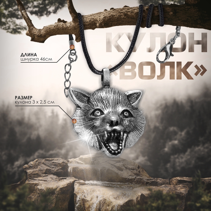 Кулон-амулет &laquo;Волк&raquo; защита, цвет чернёное серебро на чёрном шнурке, 46 см