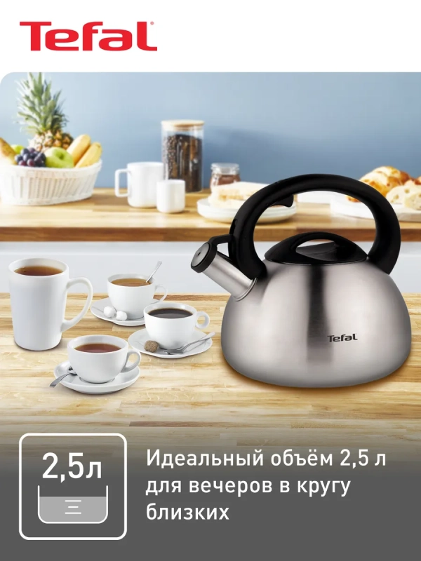 Чайник для плиты C7921024 из нержавеющей стали, со свистком