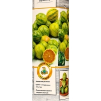 Цитрус "Лимон Вариегата", туба, 1 шт, Весна 2025