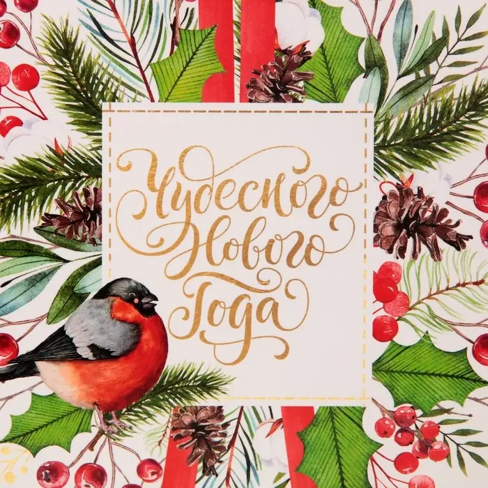 Пакет подарочный новогодний ламинированный &laquo;Чудесного Нового Года&raquo;, MS 18 х 23 х 10 см