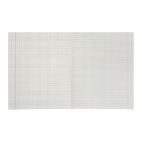 Набор тетрадей 18 листов в клетку КПК &laquo;Зелёная обложка&raquo;,белые листы, 20 шт.