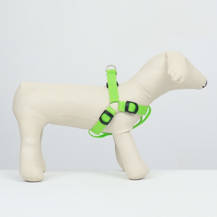 Шлейка светящаяся размер S, стропа 2,5 см, ОГ 32-40 см, 3 режима свечения зелёная