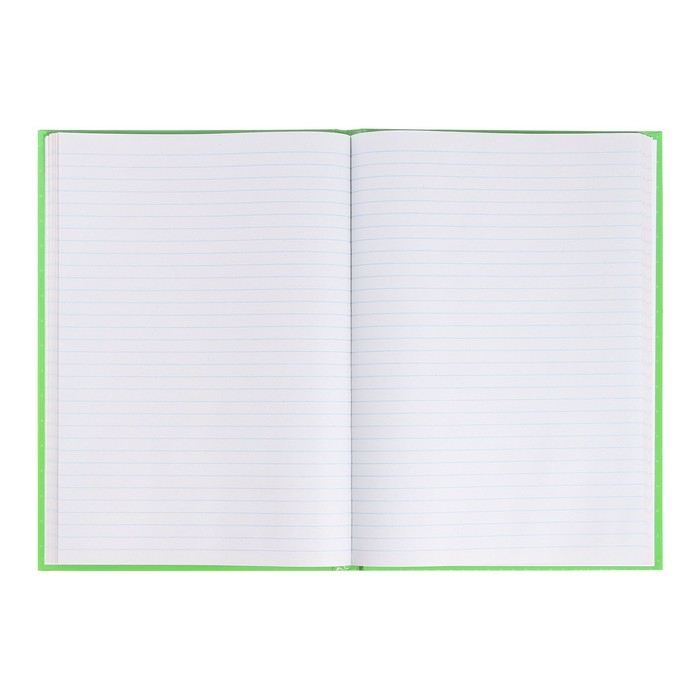 Книга учета, 96 листов, обложка картон 7БЦ, блок ГАЗЕТНЫЙ, линия, цвет зеленый